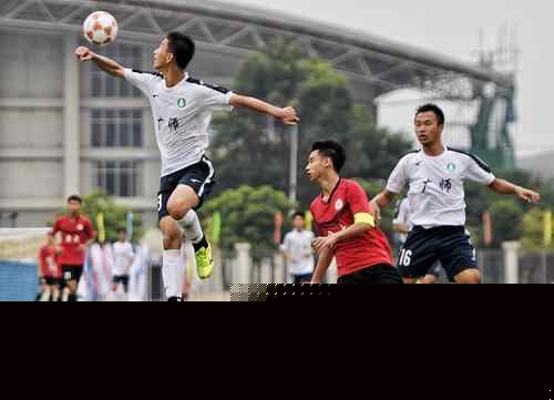 世预赛欧洲区小组赛出局队：塞尔维亚、希腊、以色列在列（欧洲区世预赛小组出局名单含塞尔维亚、希腊、以色列）