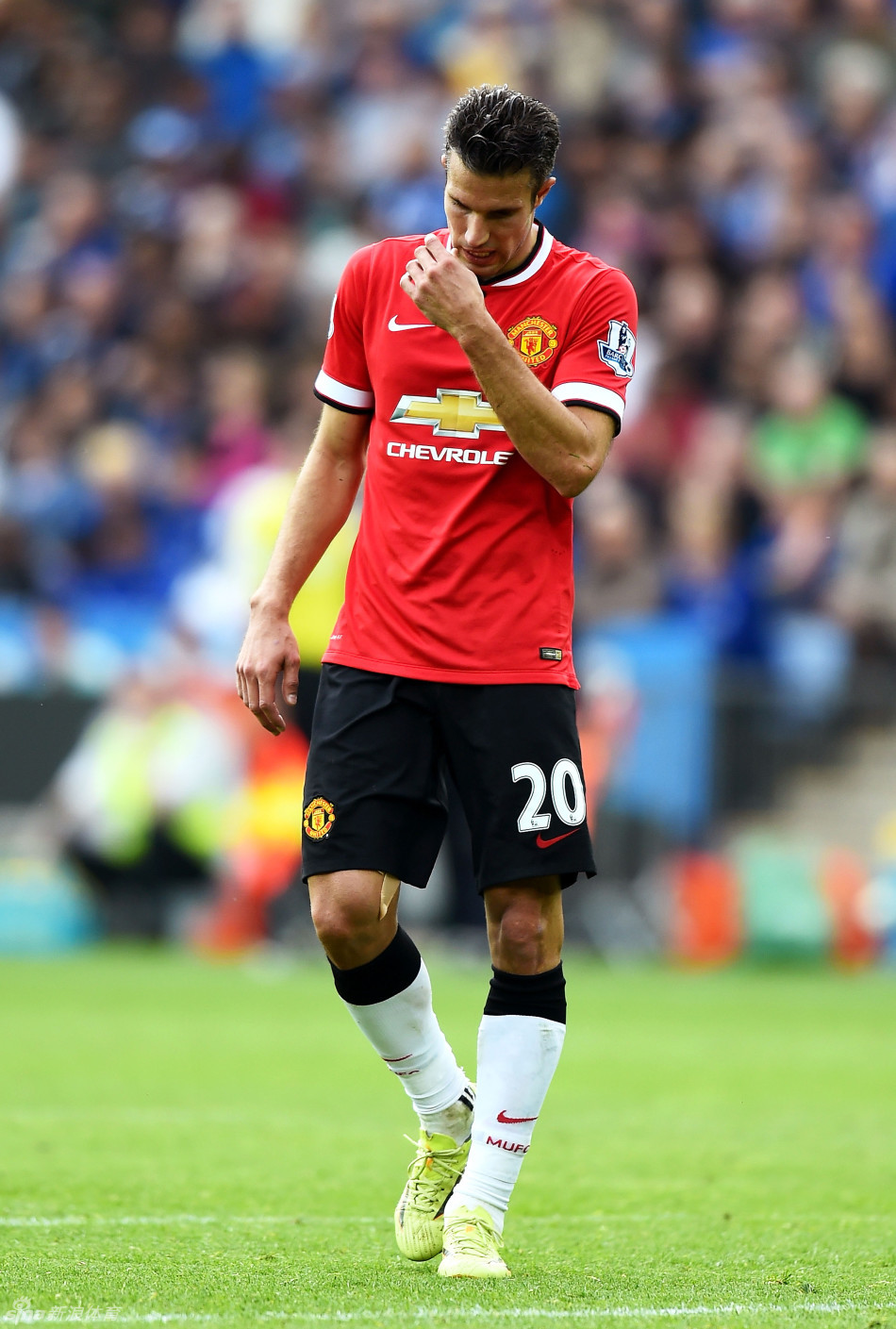 踢球水平与人口无关？世界人口前十国家中有8队无缘世界杯（人口规模不等于足球实力：全球前十人口大国八队无缘世界杯）